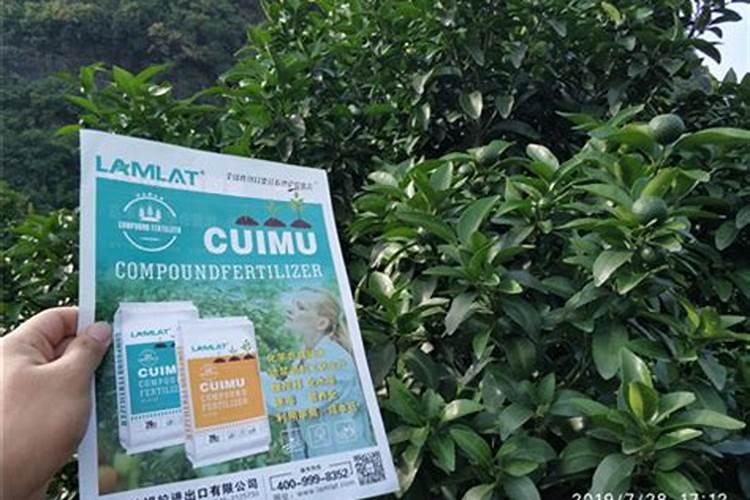 膨果期钾肥和钙肥可一起冲施吗