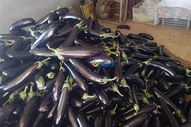 苹果树花期施肥方法 苹果树什么时候施肥