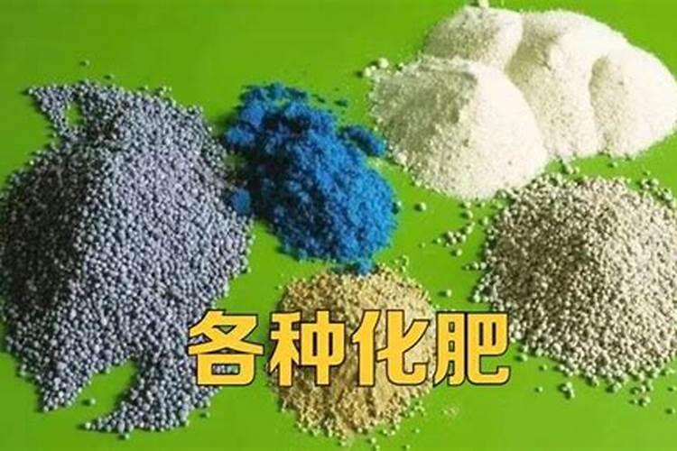 硼肥是什么肥料