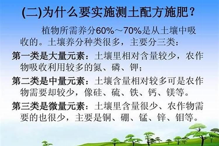 蔬菜一般多久浇一次肥 蔬菜肥料的浇施周期是多久？