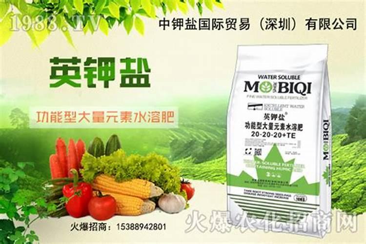 多元素水溶肥多久用一次