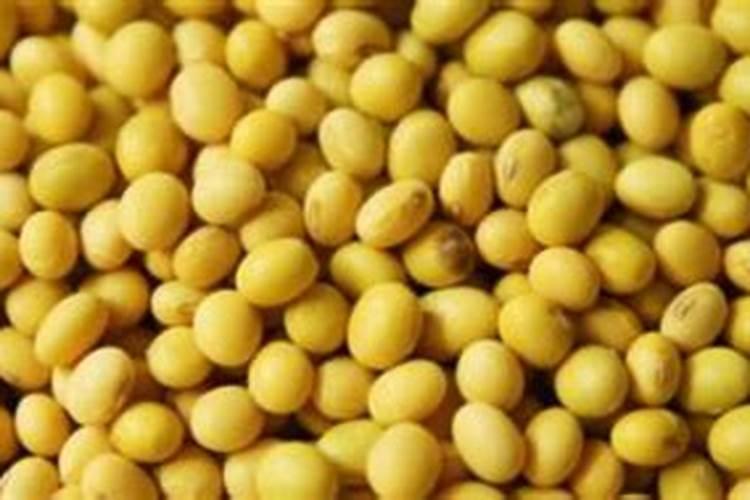 一亩大豆需要施多少化肥