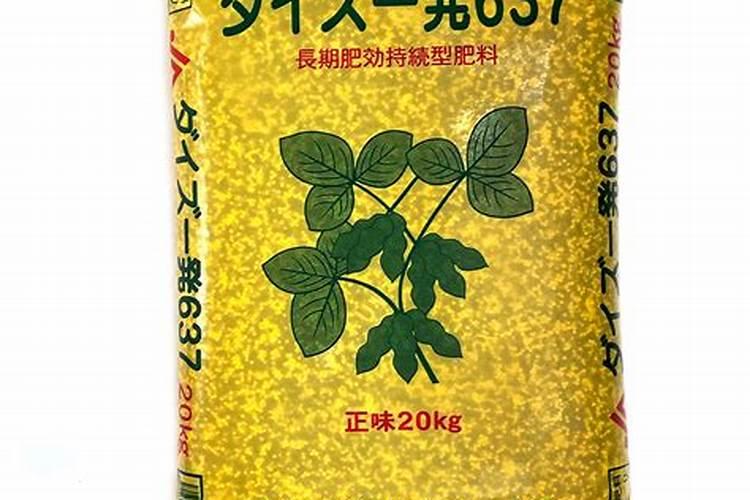 大豆用什么肥料最旺盛