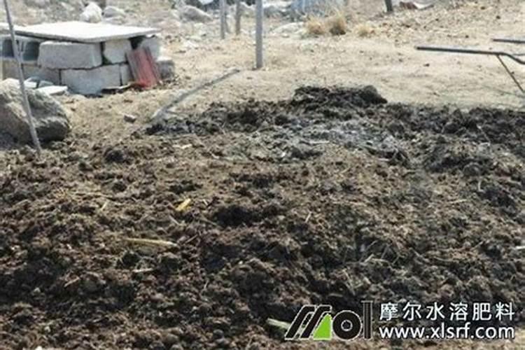 氮肥可以兑水浇花吗