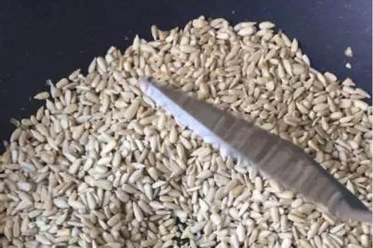 杜鹃开花期间施什么肥,能喷磷酸二氢钾吗