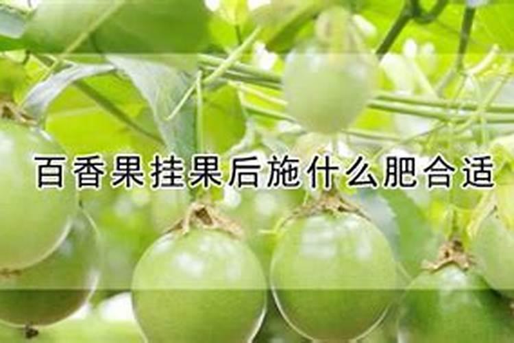 百香果挂果后如何施肥？
