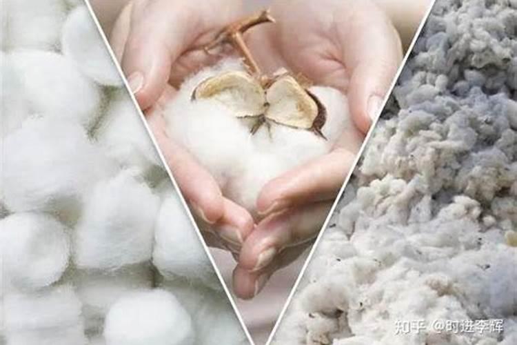 鱼胶粉和水的比例关系