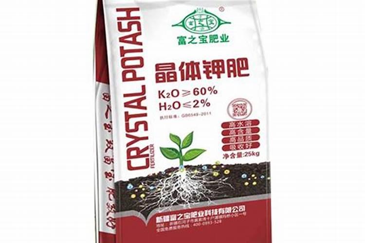 葡萄萌芽期可以浇水吗？这几个关键时期必须要掌握