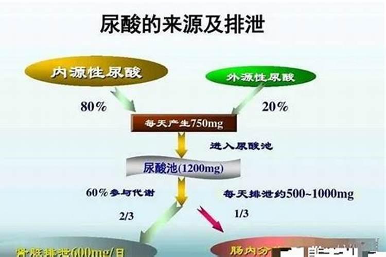 水溶肥一般几天见效