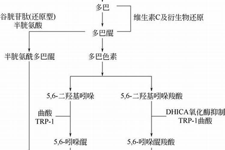 黑色素会使人体变黑,体内的黑色素如何减少？日常吃什么可以减少黑色素...