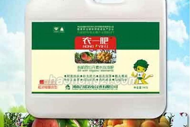 盆栽杏树如何施肥