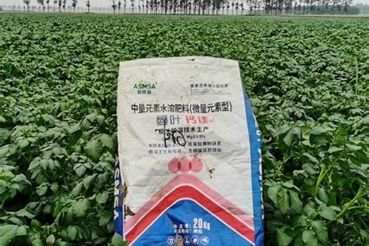 种土豆用什么肥料好 种土豆施什么肥高产
