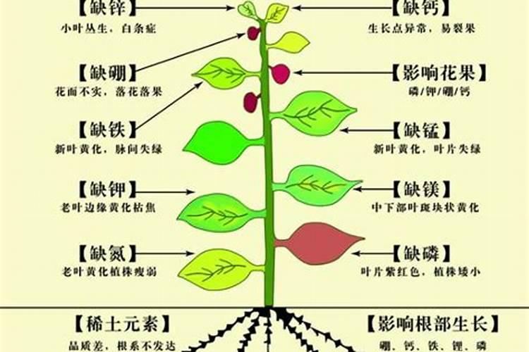 氮肥是碱性、中性还是酸性物质