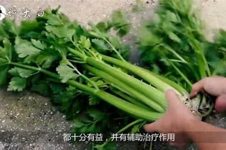 什么是氮肥,氮肥属于哪种肥料