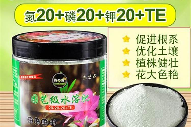 氮肥是什么肥