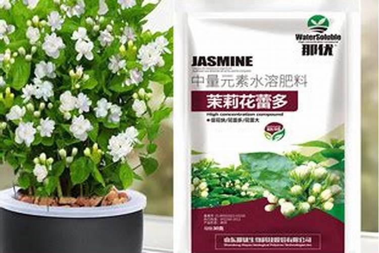 铵态氮肥和氮肥有什么区