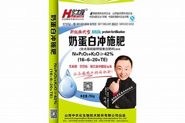 好听高雅又聚财的网络科技公司名