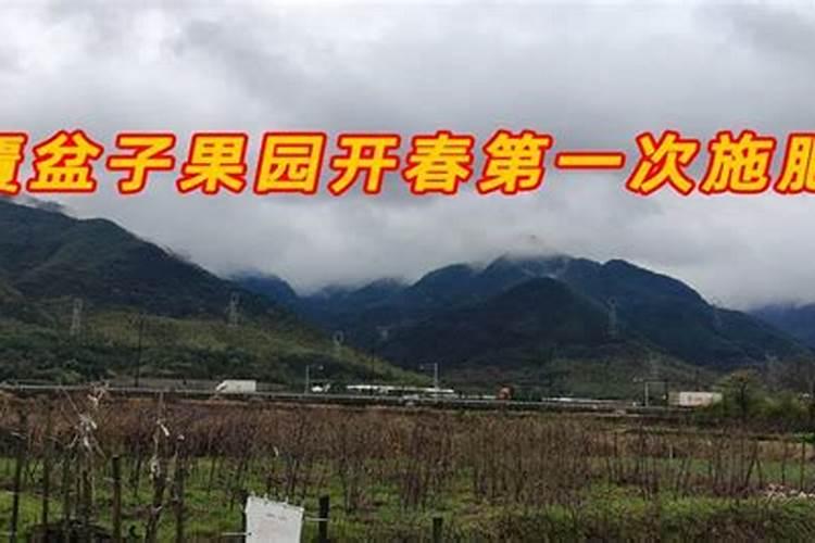西藏有鱼吗