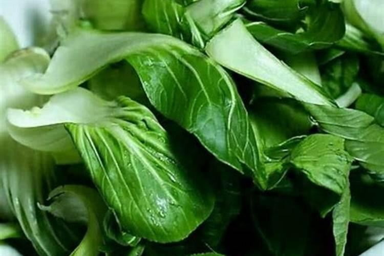 栽油菜用什么肥料最好