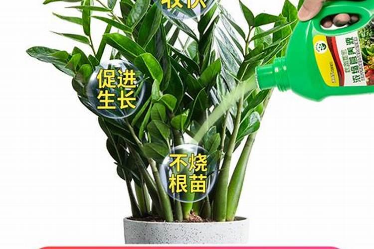 复合肥含什么氮