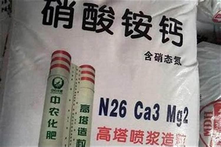 什么东西含氮肥多