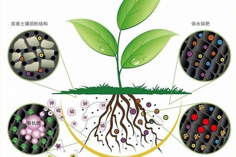 新茶多久放冰箱保存 新茶多久可以放冰箱