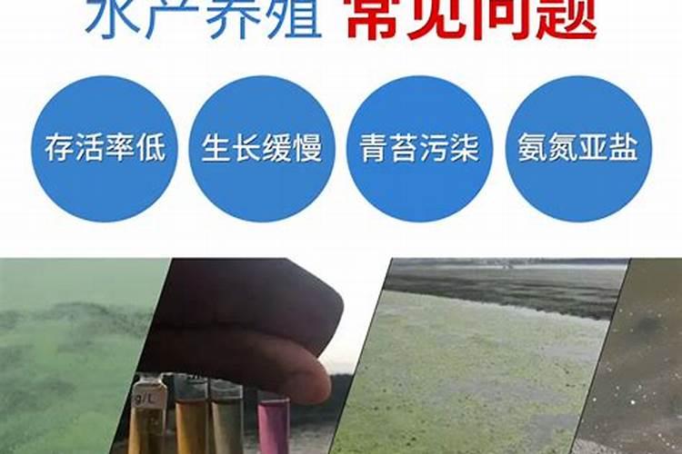 复合肥可以兑水浇花吗
