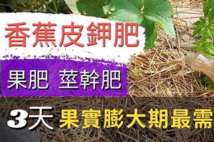 自制水果有机肥料的方法;用水果做肥料怎么做的