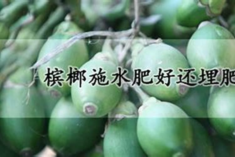 谁有生根壮苗效果比较好的水溶肥？