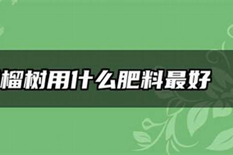 久久草莓钙肥要上多了会怎样？
