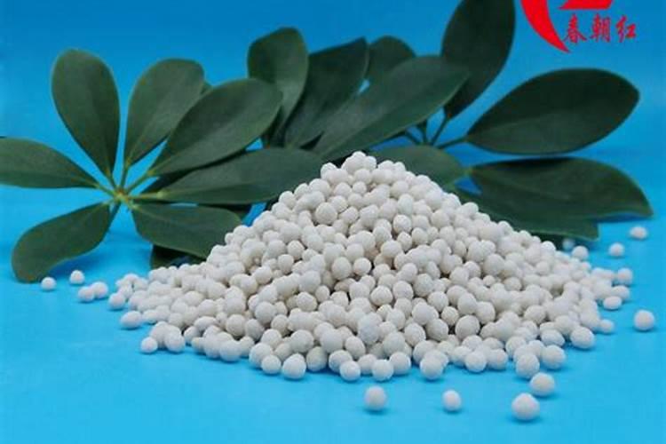 茶树催芽壮芽用什么药最快 茶树是乔木还是灌木