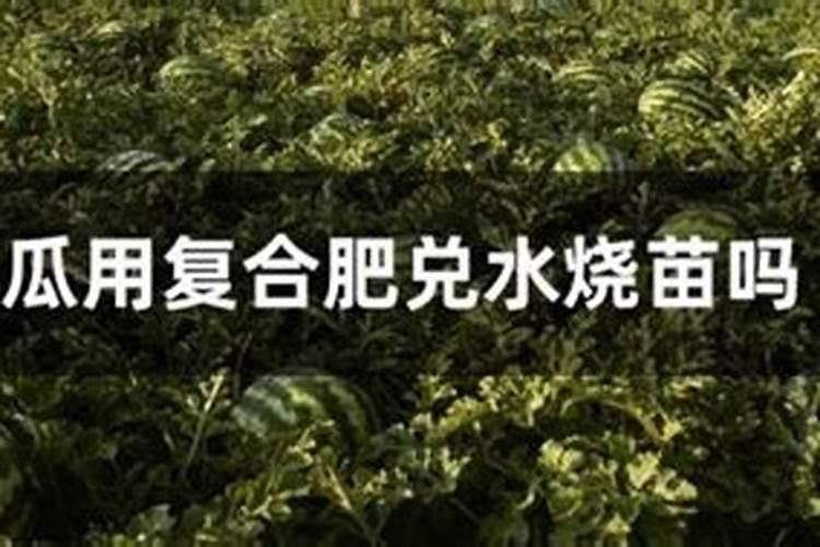 葡萄坐果后施什么肥料最好