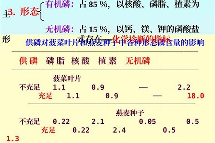 蟹爪兰北方冬天怎么养,冬天多久浇一次水