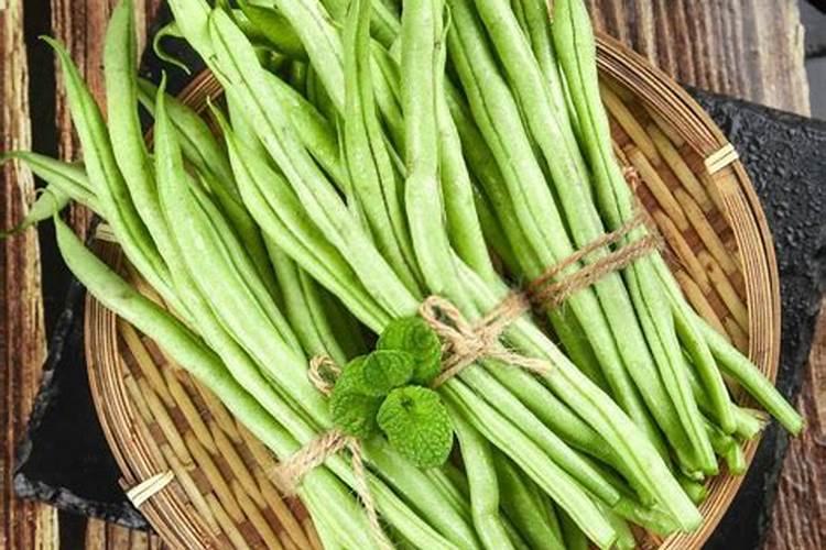 豆角生长需要施加什么样的肥料？