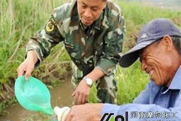 水溶肥一次浇多少斤