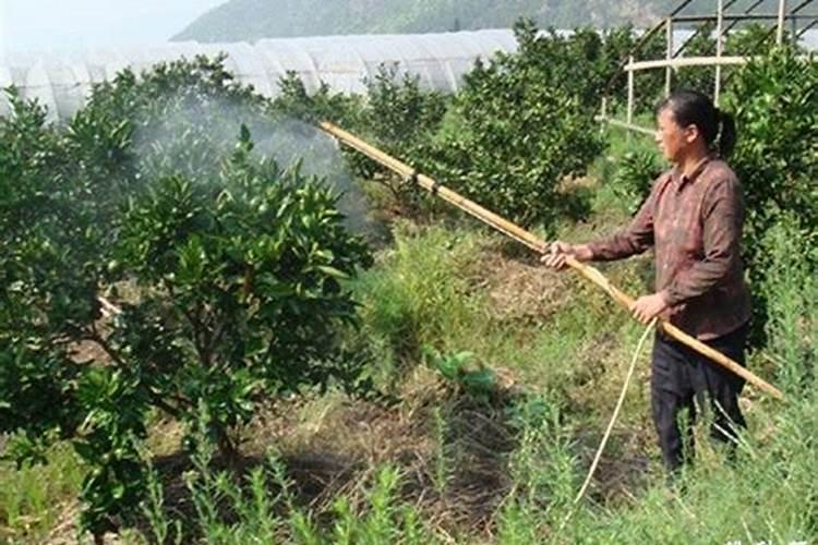 烟草在种植的过程中都是施用的哪些肥料？？？