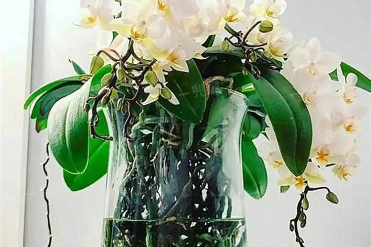 氨基酸和磷酸二氢钾能混在一起吗？