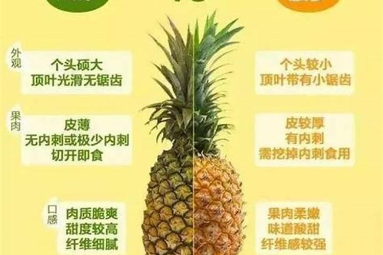 中国水溶肥的前十名中国十大水溶肥排名