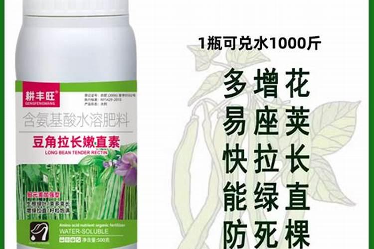 豆角用什么肥料效果好(种植豆角结果期需要什么叶面肥)