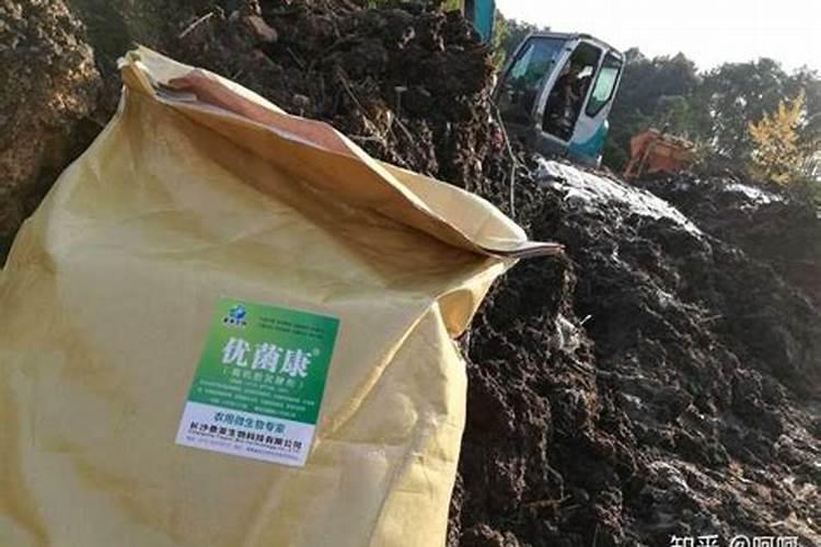 种一亩油菜能赚多少钱