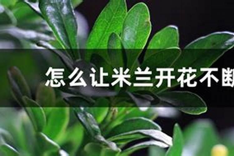碳酸氢铵在水产中作用？
