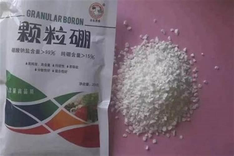 如何施用硼肥？