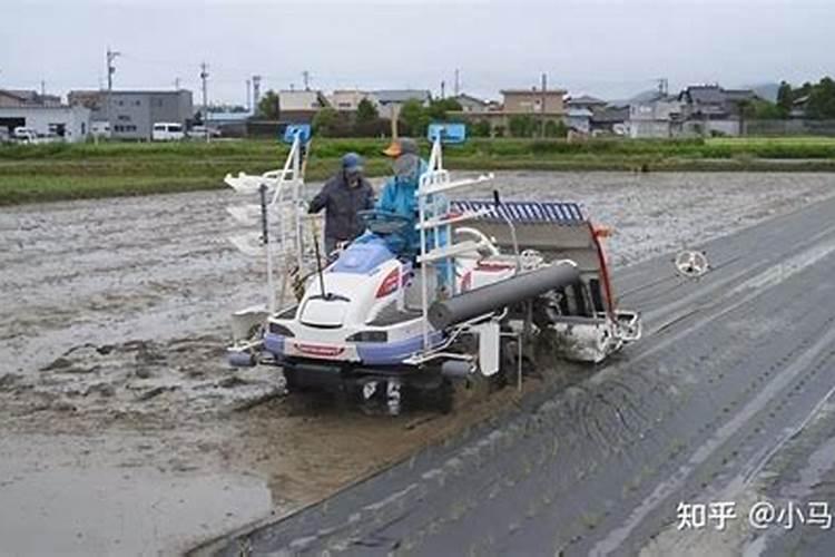 中性溶液严格的讲是指
