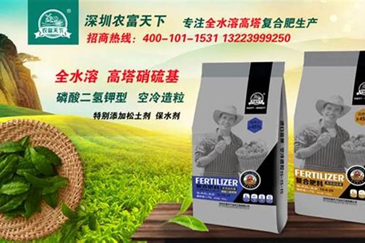 草莓初花期冲什么肥