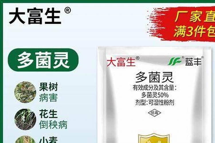 喷施什么叶面肥能促进枣树多开花,提高坐果率