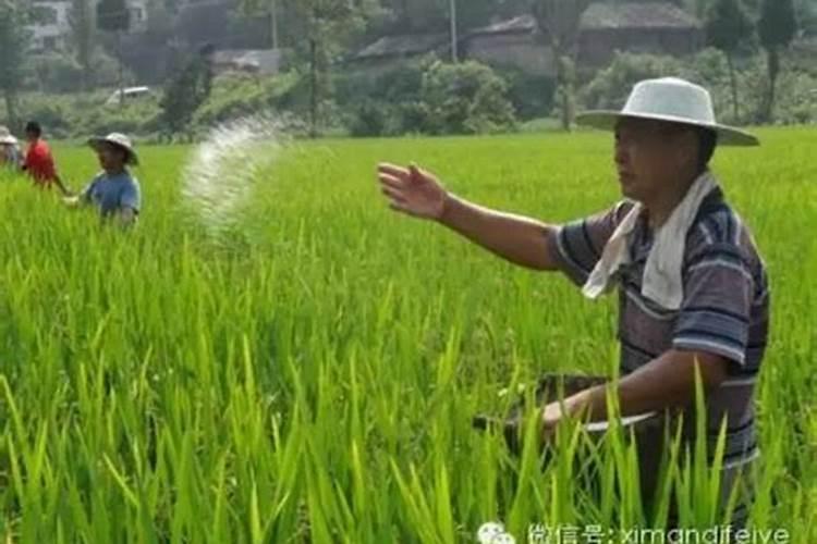复合肥施肥后要浇水吗