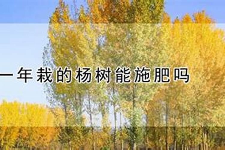 小树苗用什么肥料长得快