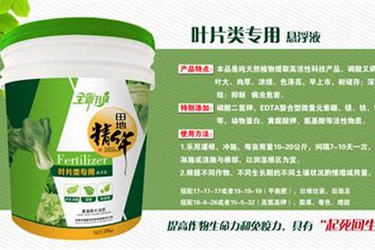桃树扦插快速繁育方法