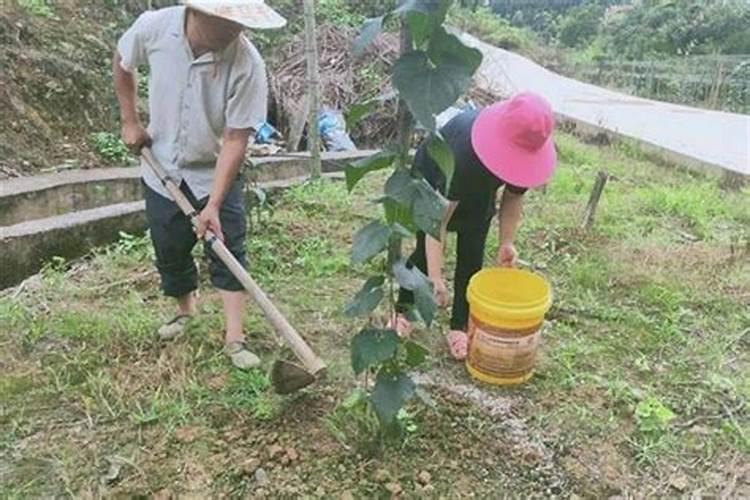 钾肥进口谈判陷入停滞