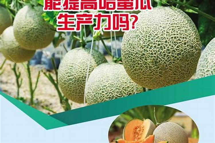 江西微量元素叶面肥木醋液